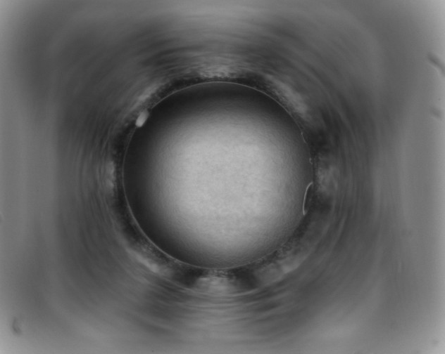 X0000096680211200802051253