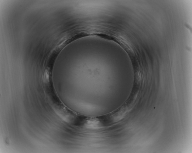 X0000096680214200802051253