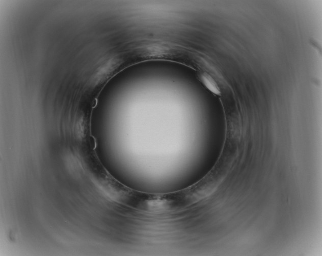 X0000096680216200802051253