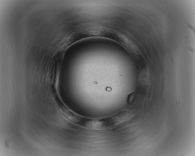 X0000096680217200802051253