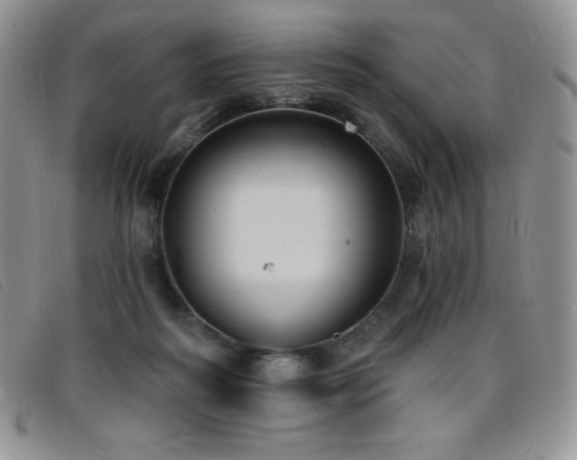 X0000096680218200802051253