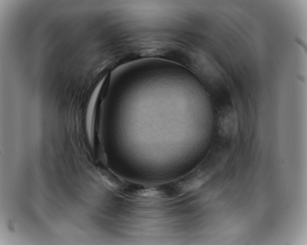 X0000096680219200802051253