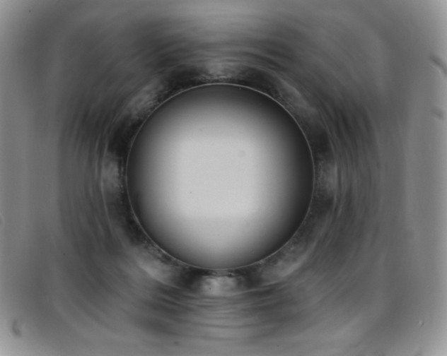 X0000096680220200802051253