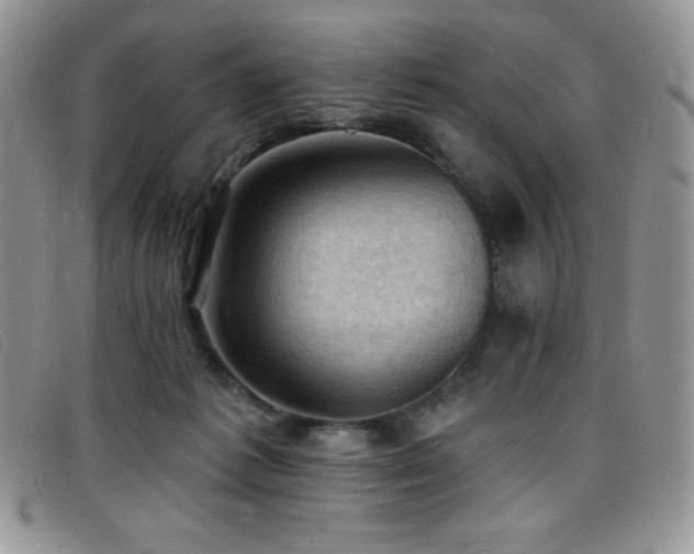 X0000096680221200802051253