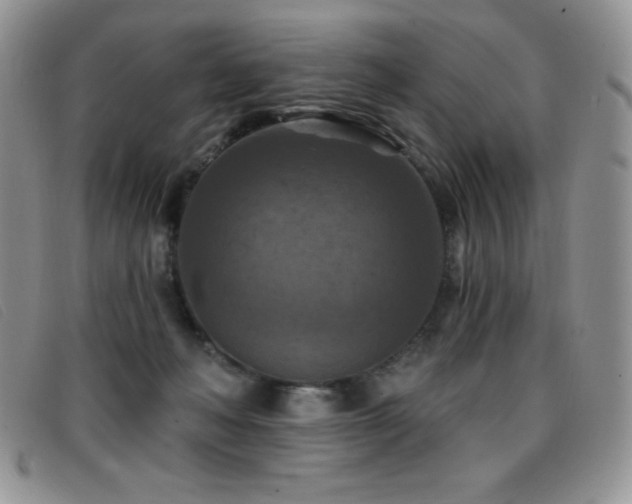 X0000096680222200802051253