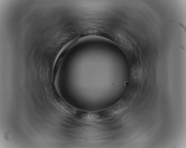 X0000096680223200802051253