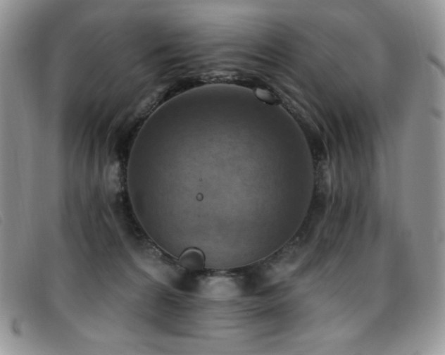X0000096680224200802051253