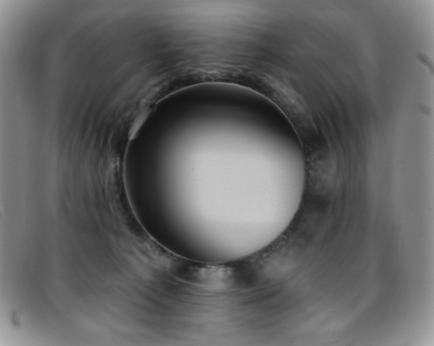 X0000096680225200802051253
