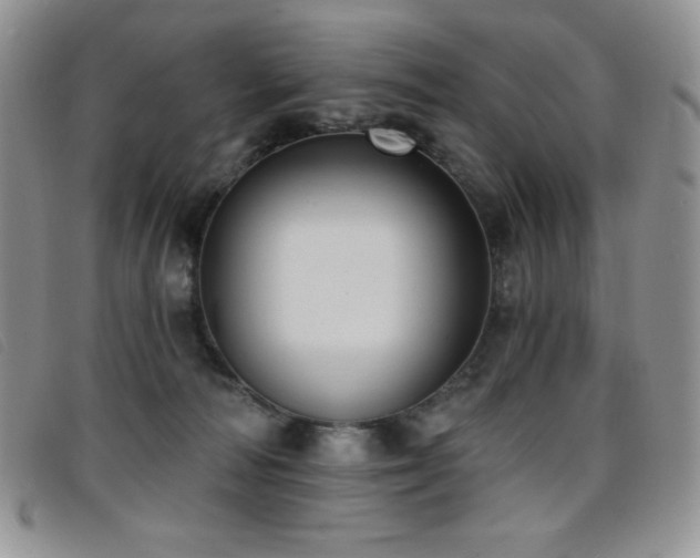 X0000096680226200802051253