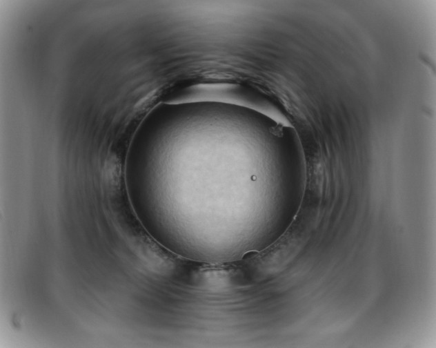 X0000096680228200802051253