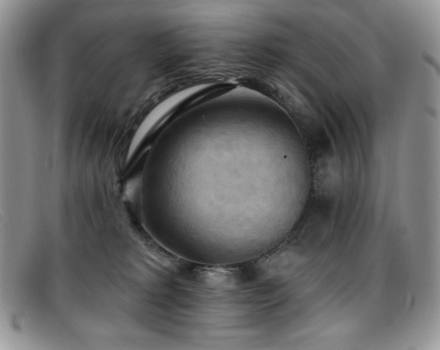 X0000096680229200802051253