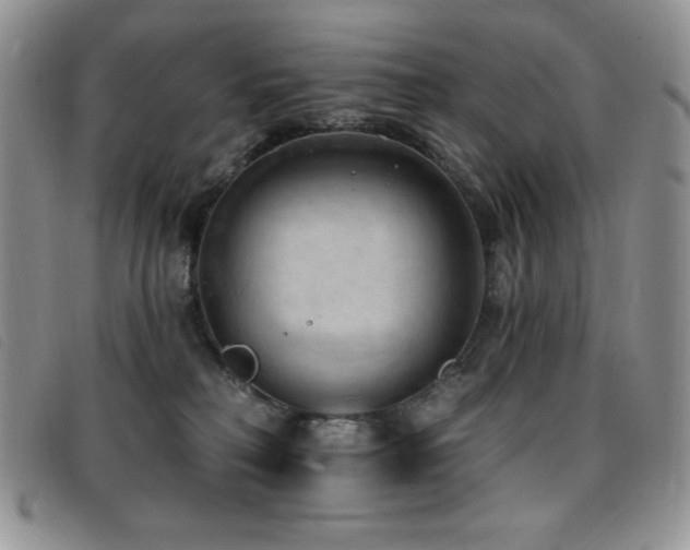 X0000096680230200802051253