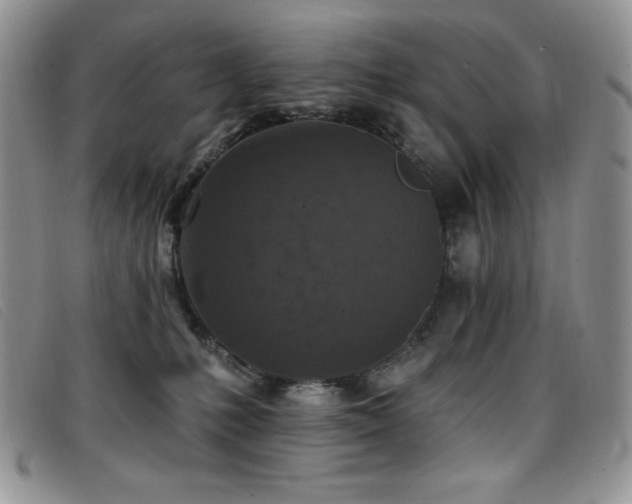 X0000096680231200802051253