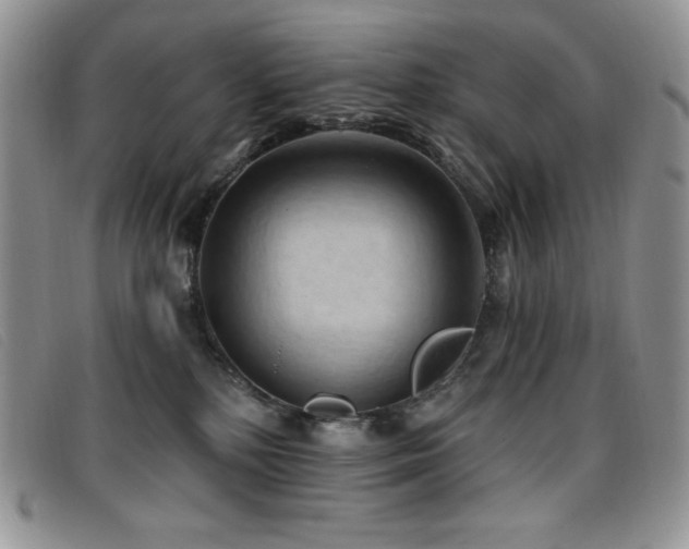 X0000096680232200802051253