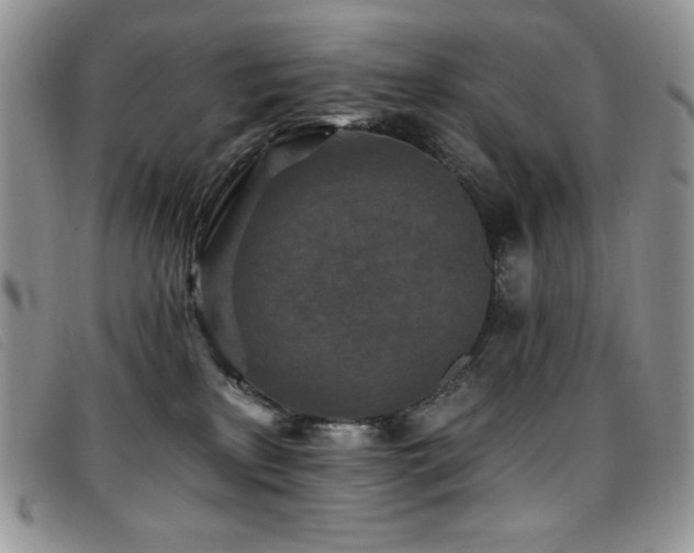 X0000096680233200802051253