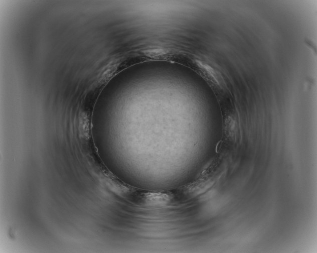 X0000096680234200802051253