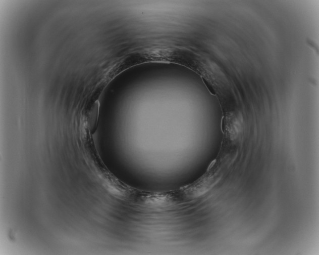 X0000096680235200802051253