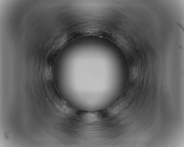 X0000096680236200802051253