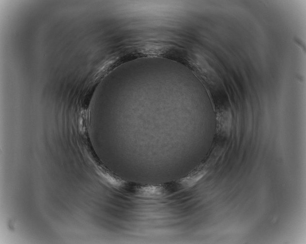 X0000096680237200802051253
