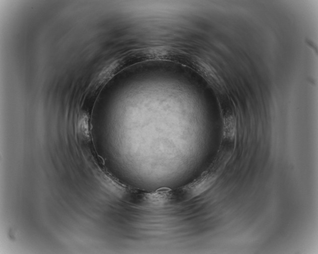 X0000096680238200802051253