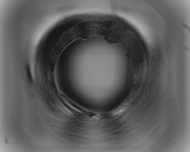 X0000096680239200802051253