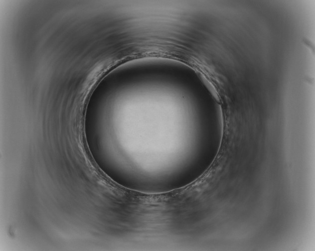 X0000096680241200802051252