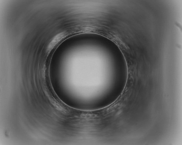 X0000096680242200802051252