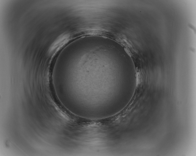 X0000096680243200802051252
