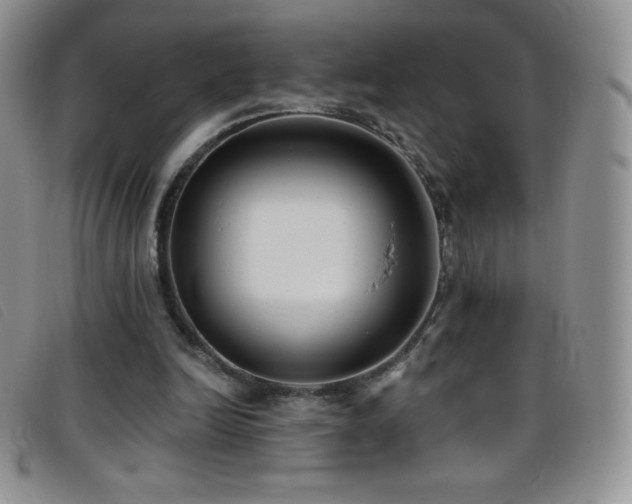 X0000096680246200802051252