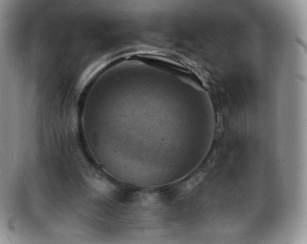 X0000096680247200802051252