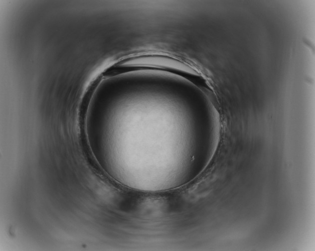 X0000096680248200802051252