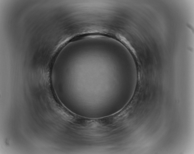 X0000096680249200802051252