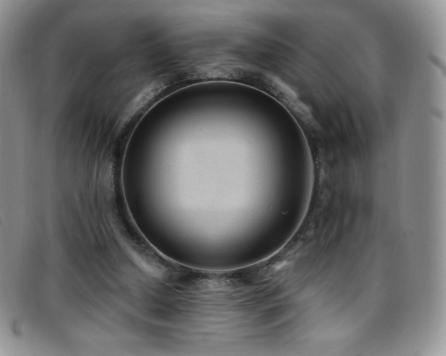 X0000096680250200802051252