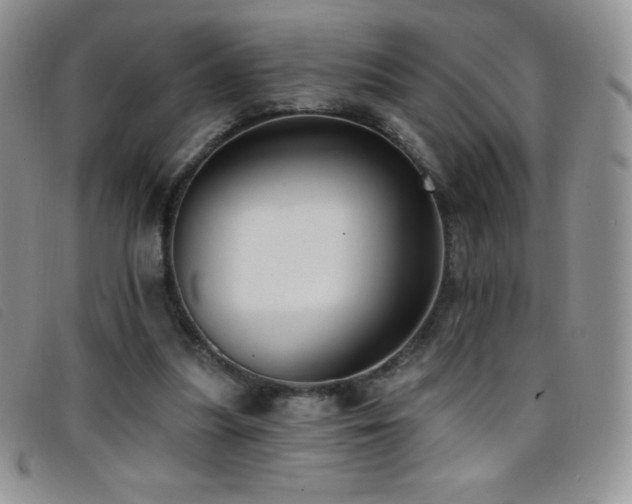 X0000096680251200802051252
