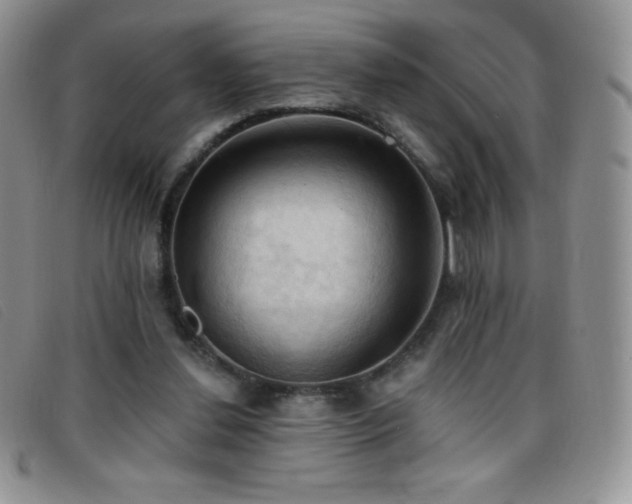 X0000096680252200802051252