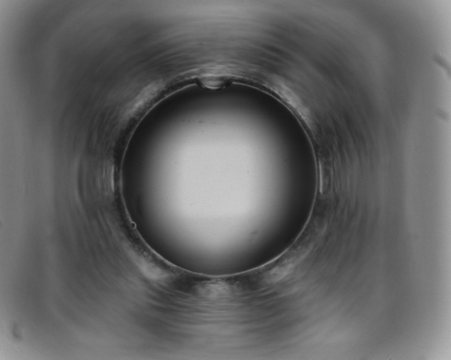 X0000096680253200802051252
