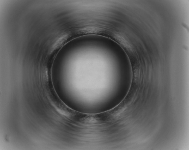 X0000096680254200802051252