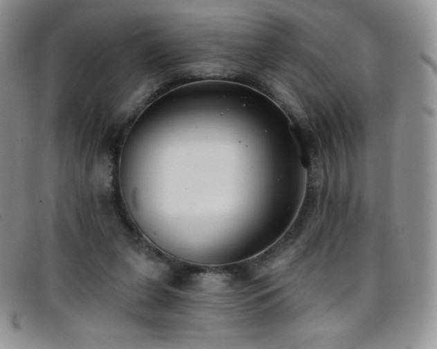 X0000096680255200802051252