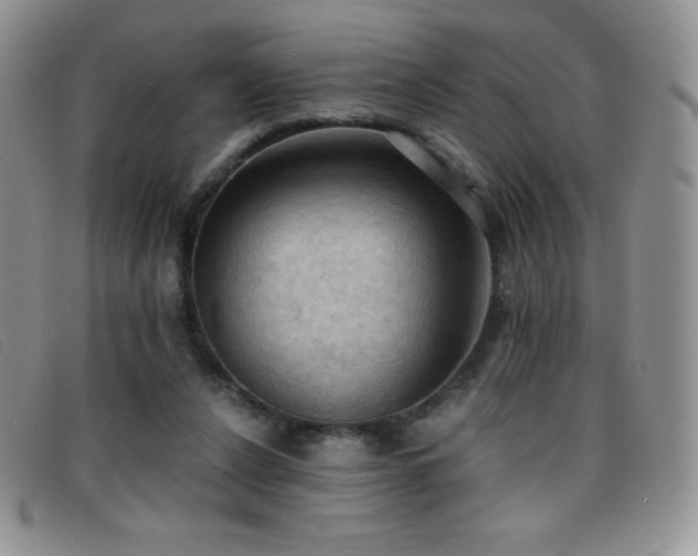 X0000096680256200802051252