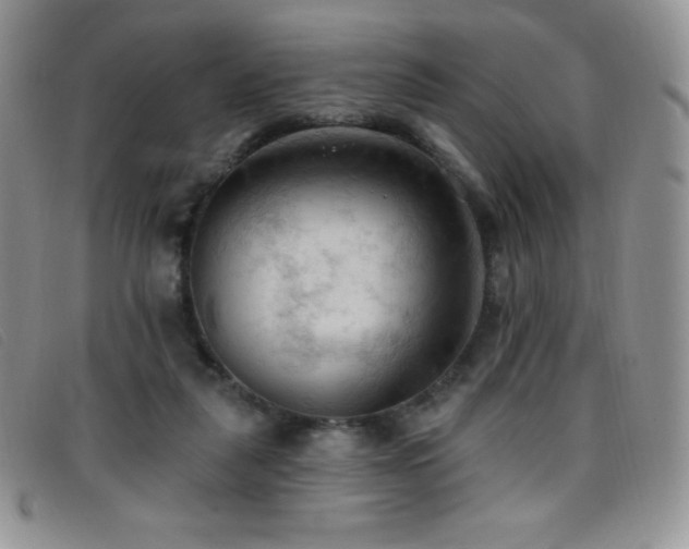 X0000096680259200802051252