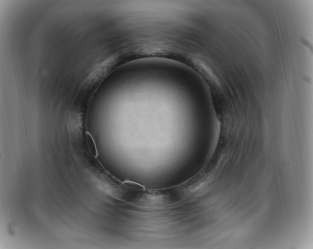 X0000096680260200802051252