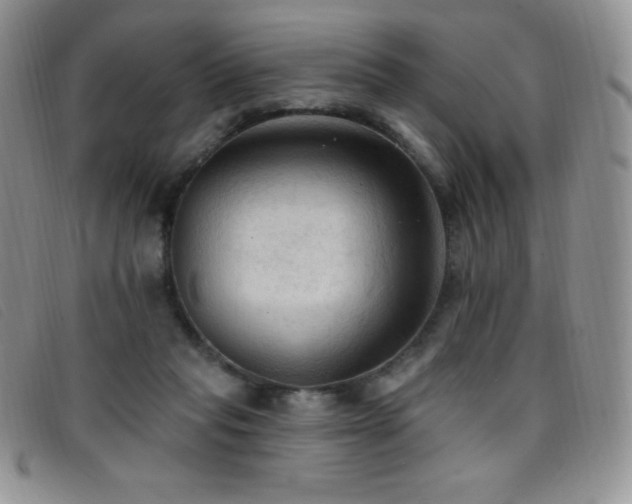 X0000096680261200802051252