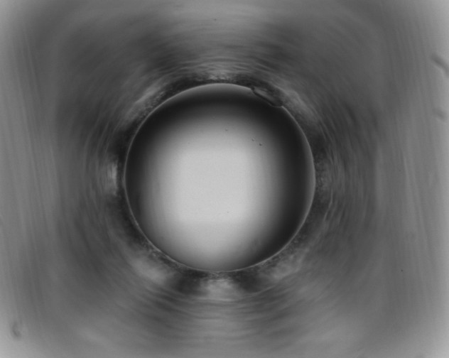 X0000096680262200802051252