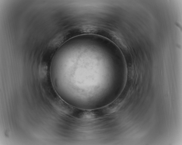 X0000096680263200802051252
