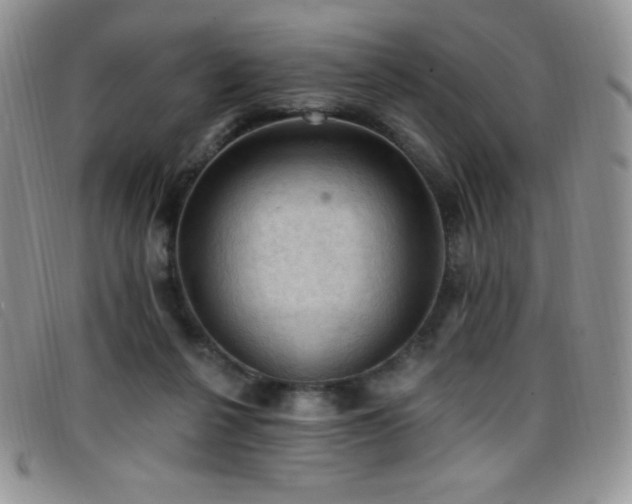 X0000096680264200802051252