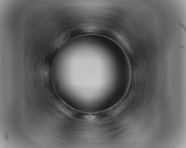 X0000096680265200802051252