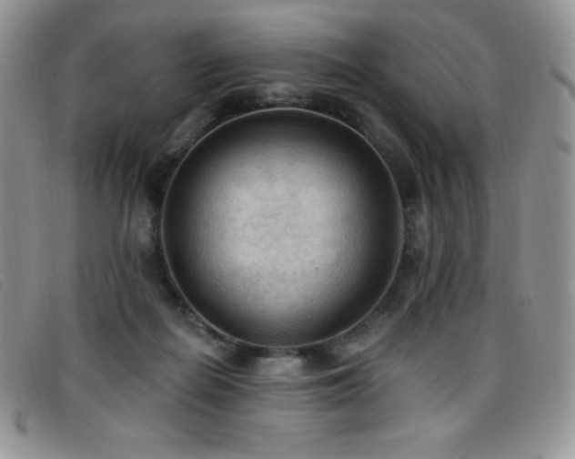 X0000096680266200802051252