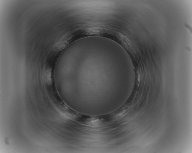 X0000096680267200802051252