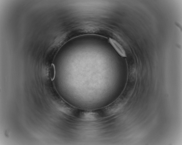 X0000096680268200802051252