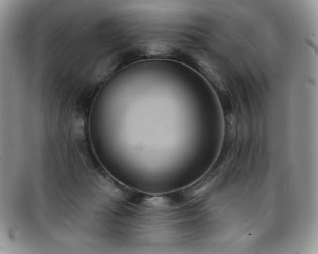 X0000096680269200802051252